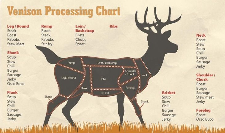 Где используется мясо оленя